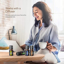 Carica l'immagine nel visualizzatore di Gallery, Set Regalo di Oli Essenziali Anjou 18 x 5ml (Lavanda, Arancia, Menta 18*5