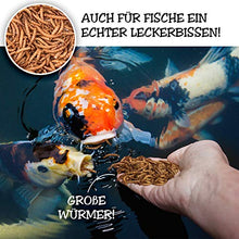 Carica l'immagine nel visualizzatore di Gallery, EWL Naturprodukte - Vermi di farina essiccati, 2 kg, lo snack ideale per...