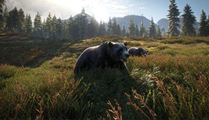 The Hunter - Call of the Wild - Playstation 4