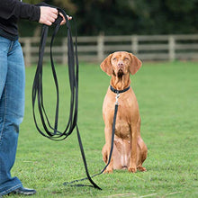 Carica l&#39;immagine nel visualizzatore di Gallery, Fttouuy Guinzaglio per Cani – da Allenamento 15 m di guinzaglio