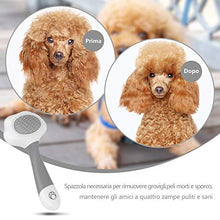 Carica l'immagine nel visualizzatore di Gallery, LAIKA Paw, Spazzola per Cani e Gatti di Taglia Piccola e Media, Pettine...