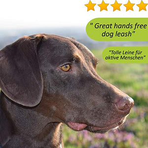Nikkipet Guinzaglio per Cane, Sportivo da Jogging Cani,...