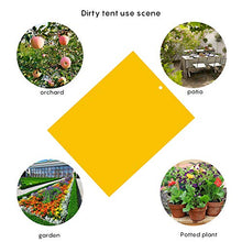 Carica l&#39;immagine nel visualizzatore di Gallery, HellDoler Trappole Appiccicose 50 Pezzi 15cm x 20cm MoscheTrappola 50PCS