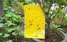 Carica l&#39;immagine nel visualizzatore di Gallery, Ecwin 20 Pezzi Trappola per Mosche Trappole Appiccicose Gialle Plant 20 - Ilgrandebazar