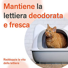 Carica l'immagine nel visualizzatore di Gallery, BactPro - BactPets elimina odori e Macchie per Cani e Gatti - Rimuove urina da Tessuti e superfici - Attivatore Biologico Professionale - Spray 750 ml