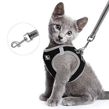Carica l&#39;immagine nel visualizzatore di Gallery, HALOVIE Pettorina per Gatto Cane con Guinzaglio da 1.5M Gilet XL, nero