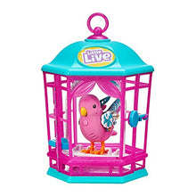 Carica l&#39;immagine nel visualizzatore di Gallery, Giochi Preziosi- LLP Cocoritos New S1 con Gabbietta, LPB08000