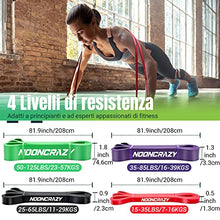 Carica l&#39;immagine nel visualizzatore di Gallery, Loop Bands, 4 Diversi Livelli di Resistenza, Elastici Palestra con Ancoraggi Porta e Impugnature, Elastico Trazioni per l&#39;allenamento Della Forza, Ginnastico, la Fisioterapia, lo Yoga per Uomo e Donna