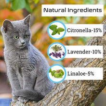 Carica l&#39;immagine nel visualizzatore di Gallery, Collare per pulci di Gatto-Collare insetticidi gatto-12 Mesi gray