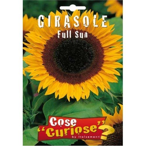 Semi - Girasole Full Sun - Ilgrandebazar