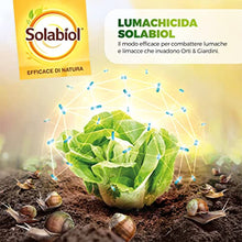 Carica l&#39;immagine nel visualizzatore di Gallery, 7