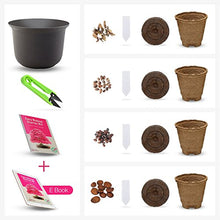 Carica l&#39;immagine nel visualizzatore di Gallery, Coltivare il proprio kit bonsai - Facilmente crescere 4 tipi di alberi...