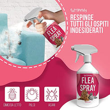 Carica l&#39;immagine nel visualizzatore di Gallery, 3