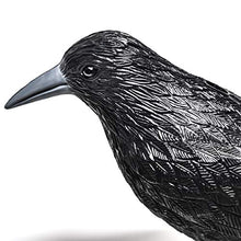 Carica l&#39;immagine nel visualizzatore di Gallery, Blossom Design Corvo Scacciapiccioni 2a Generazione Spaventapasseri...