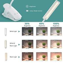 Carica l'immagine nel visualizzatore di Gallery, LENCENT Lampada da Lettura 24 LED con Clip, 9 Livelli di Luminosità【Bianca...