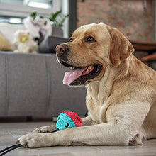 Carica l&#39;immagine nel visualizzatore di Gallery, VZATT Pet Palla con Ventosa, Giocattoli da Masticare per Cani, Gioco blu