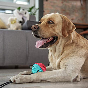VZATT Pet Palla con Ventosa, Giocattoli da Masticare per Cani, Gioco blu