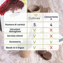 Carica l'immagine nel visualizzatore di Gallery, Cultivea Mini - Bonsai Ready-to-Grow Kit - Semi francesi 100% ecologici - Giardino e decorazione - Idea regalo (Mela rossa, Cercis cinese, Ginepro, Liquidambar, Abete rosso)