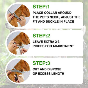 PROZADA [2 PCS] Collare Antipulci Cane, Antiparassitario per Cani Tutti... - Ilgrandebazar