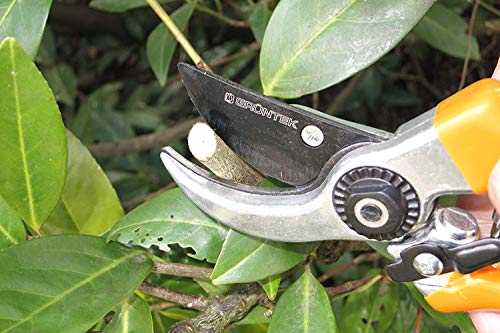 Bonplus BP | Cesoie Da Potatura Elettriche A Batteria | Troncarami - Foto 9