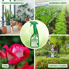 Carica l'immagine nel visualizzatore di Gallery, Gardemia Olio di Neem Spray per Piante 750ml Pronto Uso Azione Naturale contro varie Avversità Giardino Casa Multiuso Estratto Meccanicamente con Pressatura a Freddo Straordinarie Proprietà Naturali
