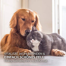 Carica l&#39;immagine nel visualizzatore di Gallery, AniForte Omega-3 Capsule di Olio Salmone per Cani e Gatti 500 -...