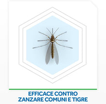 Carica l&#39;immagine nel visualizzatore di Gallery, 7