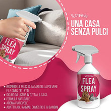 Carica l&#39;immagine nel visualizzatore di Gallery, 1