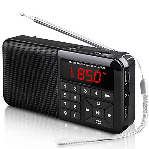 Radio Tascabile FM Portatile Digitale con Altoparlante Y-01