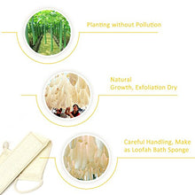Carica l&#39;immagine nel visualizzatore di Gallery, Spugna di Luffa Esfoliante Dighealth, per Doccia, Esfoliante... - Ilgrandebazar