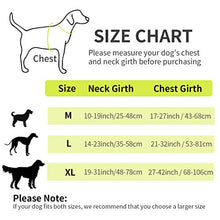 Carica l'immagine nel visualizzatore di Gallery, morpilot Pettorina Regolabile per Cani, L (Collo: 35-58cm,Torace: 53-81cm)