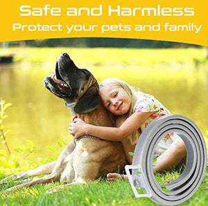 Collare Antipulci Cane Impermeabile, Collari Antiparassitario per Cani 1