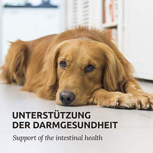Carica l&#39;immagine nel visualizzatore di Gallery, AniForte Stomaco Delicatamente per Cani 500g - Supporta la digestione, Lega...