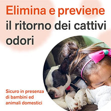 Carica l'immagine nel visualizzatore di Gallery, BactPro - BactPets elimina odori e Macchie per Cani e Gatti - Rimuove urina da Tessuti e superfici - Attivatore Biologico Professionale - Spray 750 ml