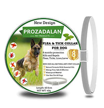 Carica l&#39;immagine nel visualizzatore di Gallery, Collare Antipulci Cane, per Cani e Zecche Regolabile 1pack
