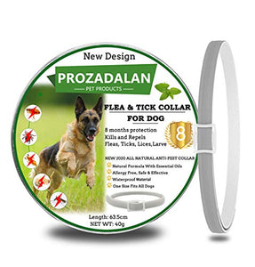 Collare Antipulci Cane, per Cani e Zecche Regolabile 1pack