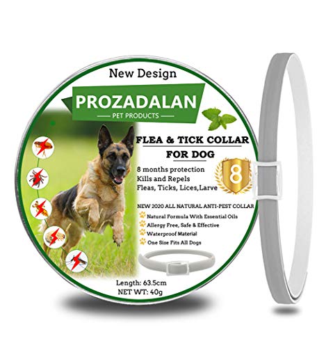 Collare Antipulci Cane, per Cani e Zecche Regolabile 1pack