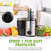 Carica l&#39;immagine nel visualizzatore di Gallery, Aicok Centrifuga, Estrattore di Succo a Freddo, Frutta e Argento - Ilgrandebazar