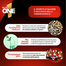 Carica l'immagine nel visualizzatore di Gallery, NUTRI 1 ONE NutriONE Concime concentrato per Piante e Fiori, 1 litro, 1000 unità