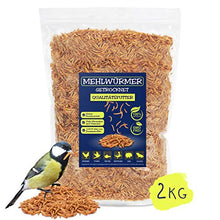 Carica l'immagine nel visualizzatore di Gallery, EWL Naturprodukte - Vermi di farina essiccati, 2 kg, lo snack ideale per...