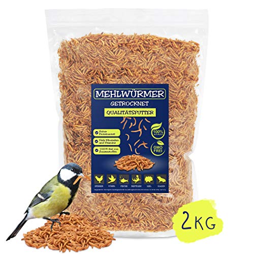 EWL Naturprodukte - Vermi di farina essiccati, 2 kg, lo snack ideale per...
