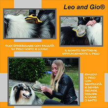 Carica l&#39;immagine nel visualizzatore di Gallery, Leo and Gio - Guanto per Cani e Gatti, Spazzola e Rimuovi Pelo Lungo e... - Ilgrandebazar