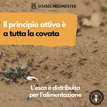 Carica l&#39;immagine nel visualizzatore di Gallery, Panteer ® Lattina di esca per formiche - 4 esche per formiche - Facile controllo delle formiche con veleno per formiche - Contro più di 3 specie - Per interni e per le formiche nel prato