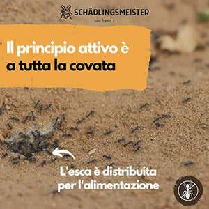 Panteer ® Lattina di esca per formiche - 4 esche per formiche - Facile controllo delle formiche con veleno per formiche - Contro più di 3 specie - Per interni e per le formiche nel prato