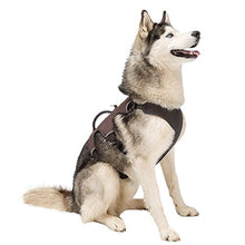 Carica l&#39;immagine nel visualizzatore di Gallery, Ferplast Pettorina Ergonomica per Cani Ergotrekking P Large, 6 Nero - Ilgrandebazar