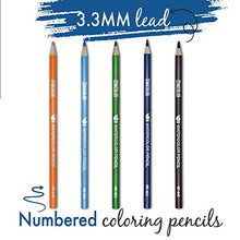 Carica l&#39;immagine nel visualizzatore di Gallery, Zenacolor 72 Matite Colorate Acquerellabili, Numerate, con Pennello in... - Ilgrandebazar