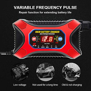 RIKIN Caricabatteria Auto di Carica 6V/12V 12A Mantenitore Carica...