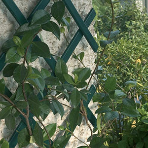 Treplas 0,50x2 m, Verde, Traliccio Estensibile in PVC per Sostegno a Muro di Fiori e Piante Rampicanti