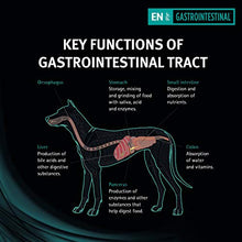 Carica l'immagine nel visualizzatore di Gallery, Purina Pro Plan Veterinary Diets Canine en Gastrointestinal Dry Dog Clinica...