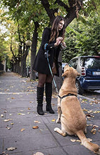 Carica l&#39;immagine nel visualizzatore di Gallery, DIVO Guinzaglio per Cani Allungabile Retrattile Made in Italy Blu